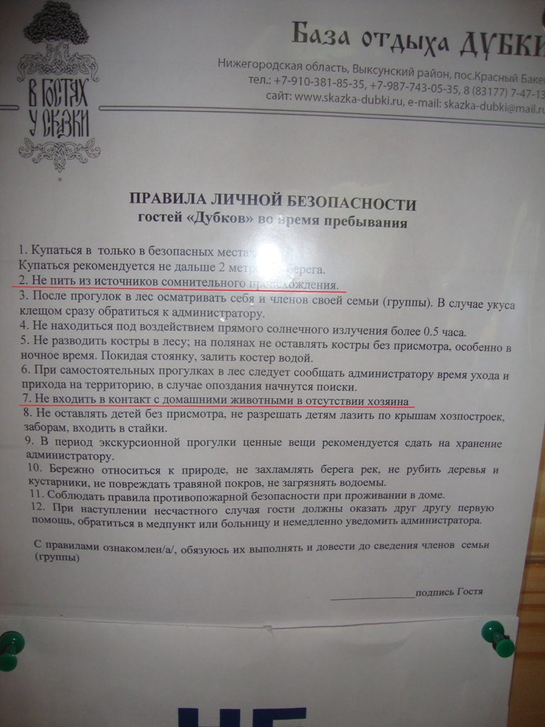 Металлург Выкса – Факел Воронеж 24-27 мая 2013 г. | Отчеты о выездах | ФК  Факел Воронеж | Сайт официального фан-клуба ФК Факел Воронеж